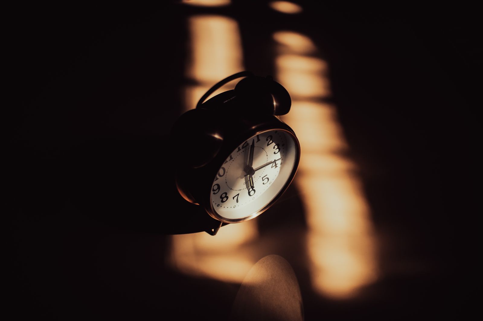 pexels photo 18542702