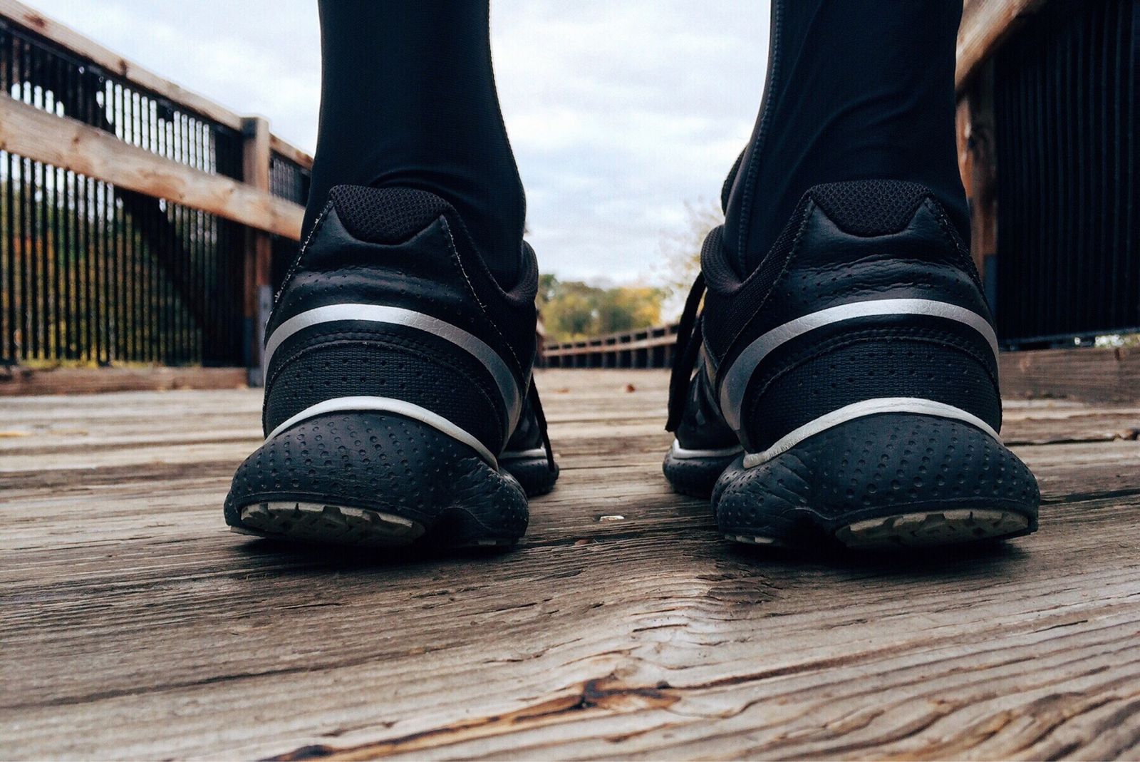 pexels photo 260044