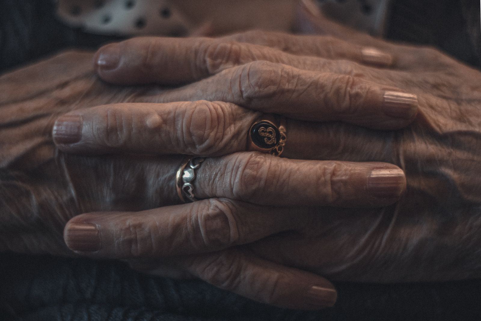 pexels photo 6777360